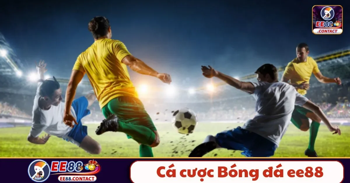 Cá Cược Bóng Đá EE88 – Bí Kíp Đọc Kèo Và Cách Đặt Cược 2 Cá cược bóng đá EE88 là gì? Cách chơi và cách đọc kèo chính xác