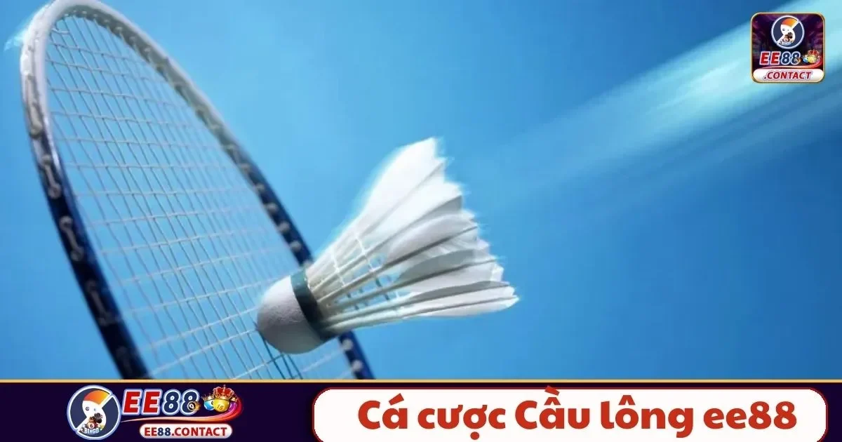 Cá Cược Cầu Lông EE88 – Hướng Dẫn Đọc Kèo Và Cách Chơi